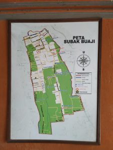 Subak Buaji