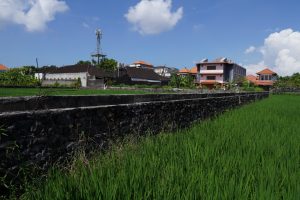 Subak Renon