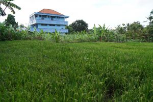 Subak Dalem